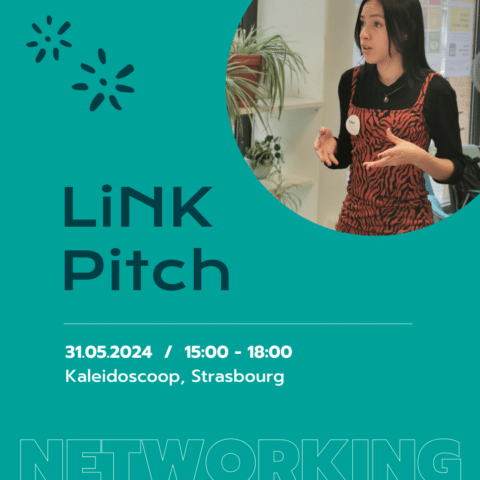 LiNK-Pitch in Straßburg!