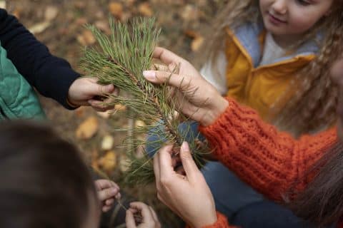 Wald­klas­sen­zim­mer